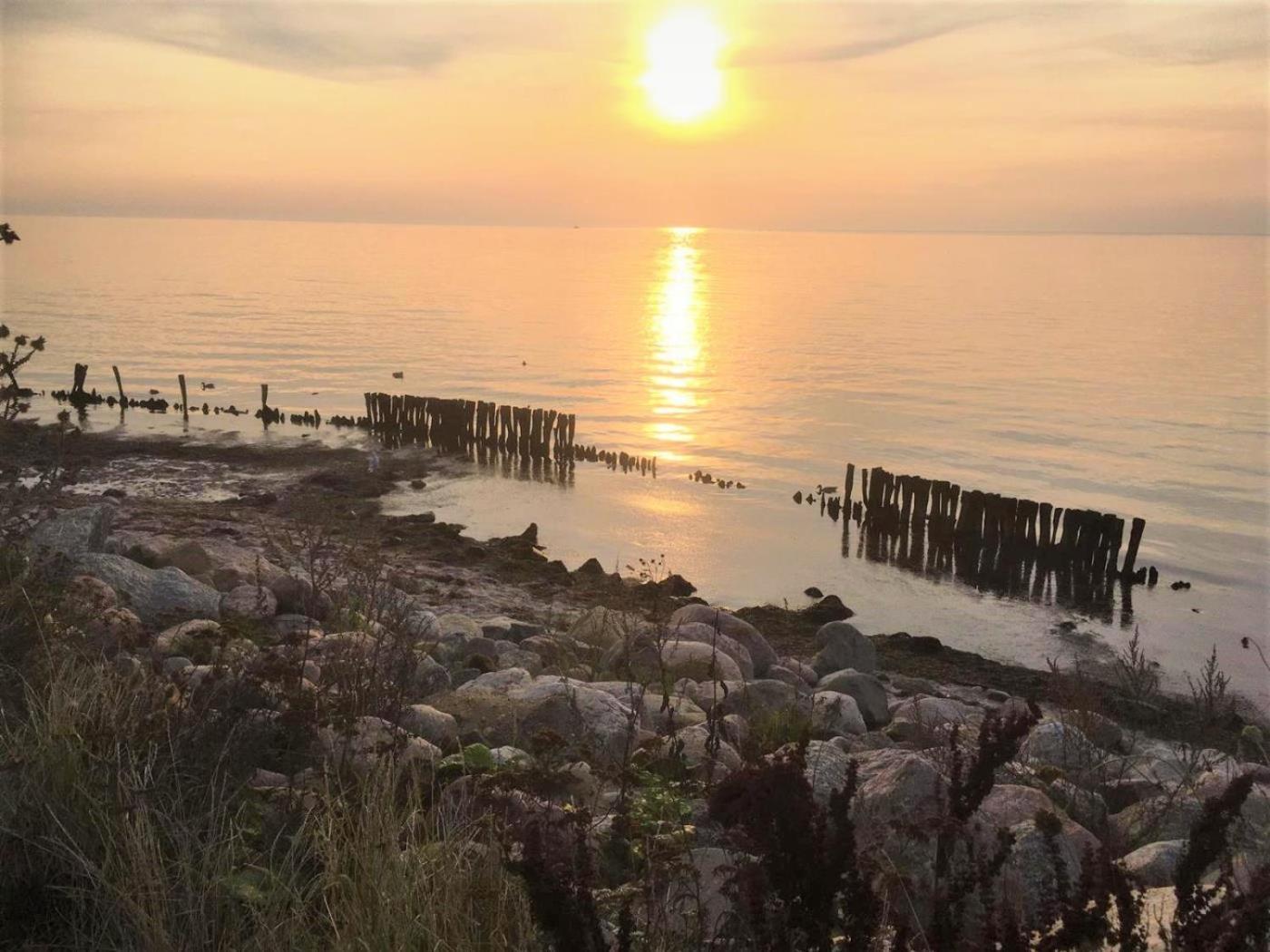 Dahmer Strand 18 Muschelhus Kültér fotó